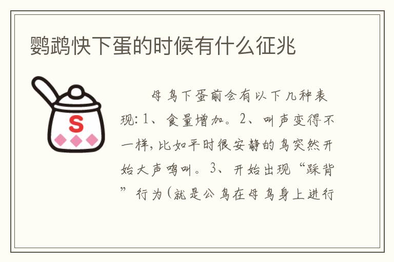 鹦鹉快下蛋的时候有什么征兆