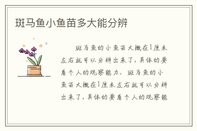 斑马鱼小鱼苗多大能分辨