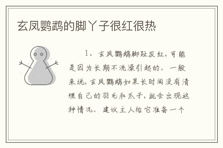 玄凤鹦鹉的脚丫子很红很热