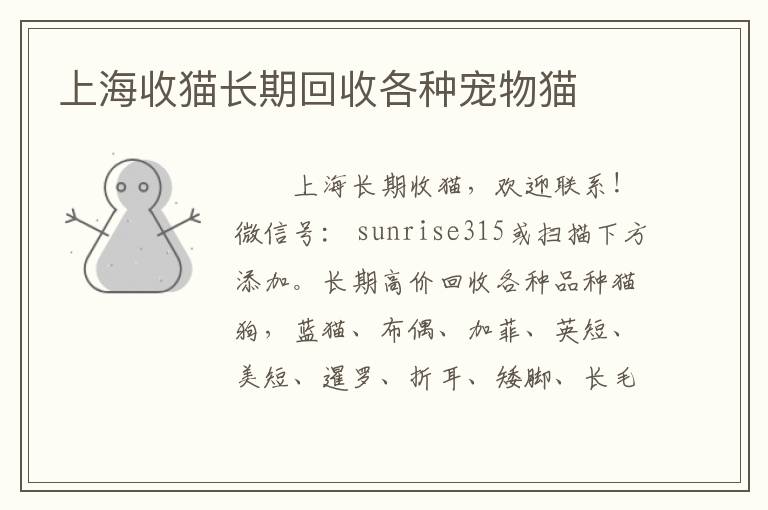 上海收猫长期回收各种宠物猫
