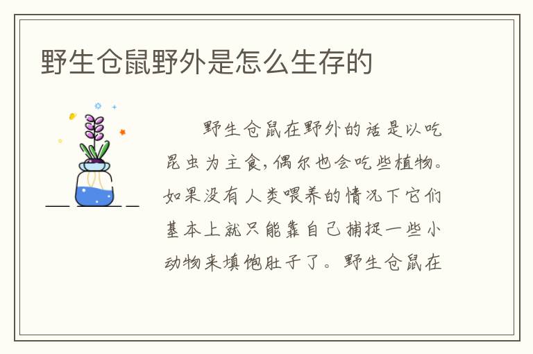 野生仓鼠野外是怎么生存的