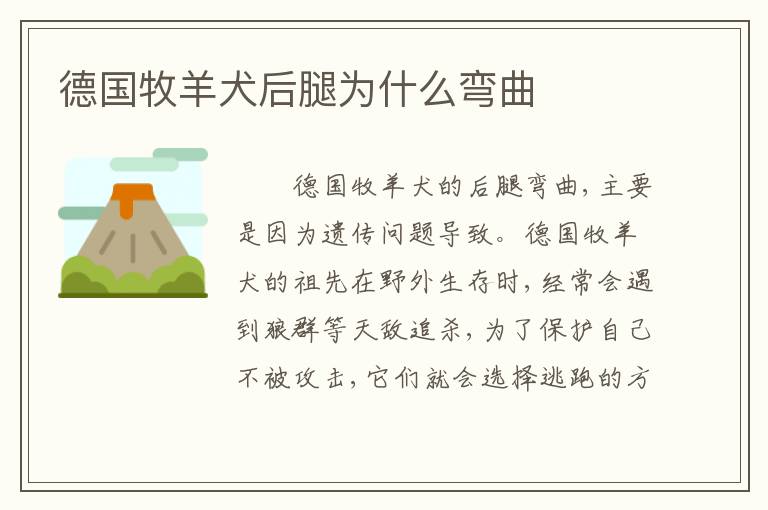 德国牧羊犬后腿为什么弯曲