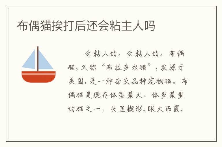 布偶猫挨打后还会粘主人吗