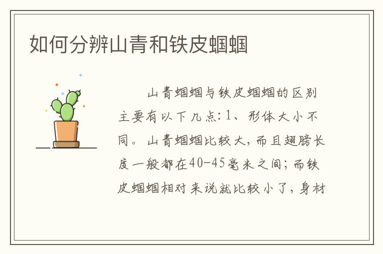 如何分辨山青和铁皮蝈蝈