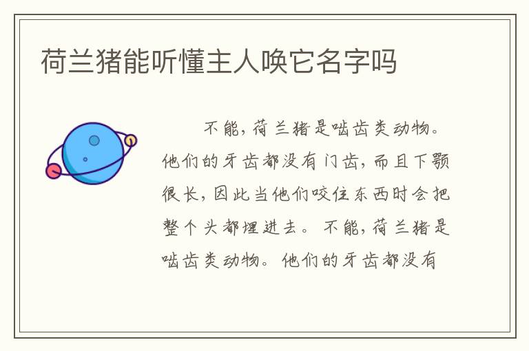 荷兰猪能听懂主人唤它名字吗