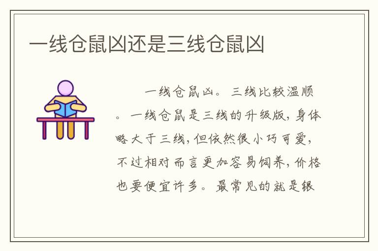 一线仓鼠凶还是三线仓鼠凶