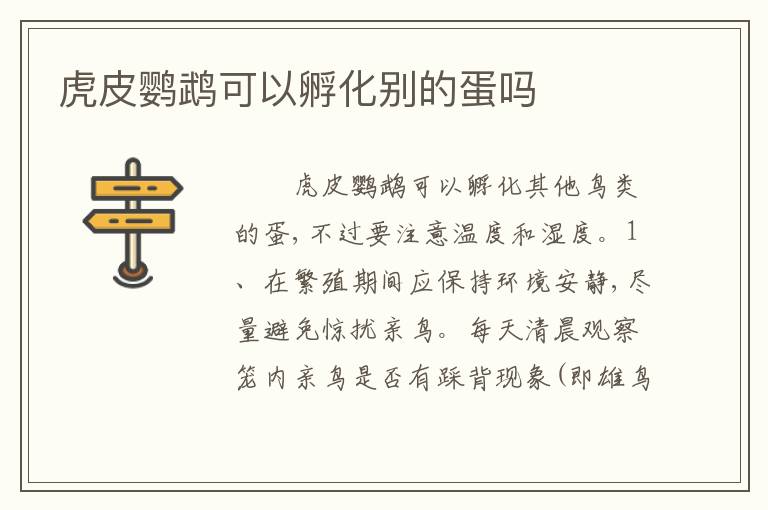 虎皮鹦鹉可以孵化别的蛋吗