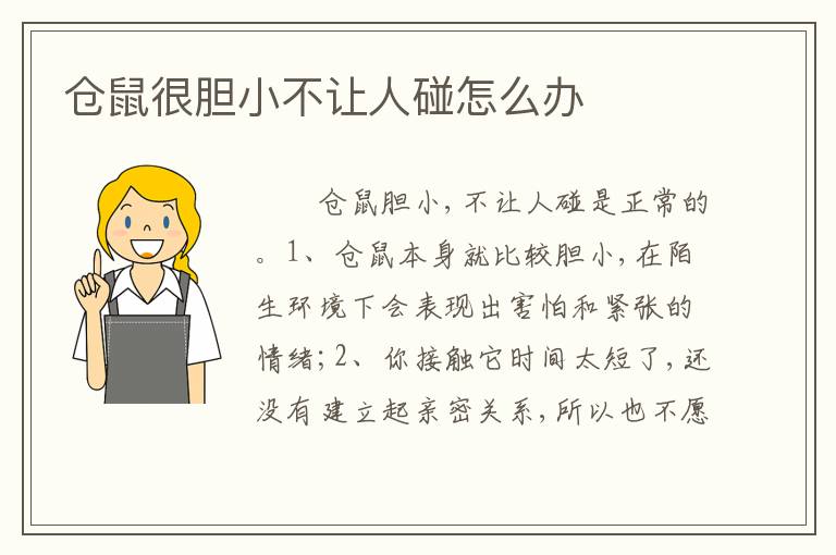 仓鼠很胆小不让人碰怎么办