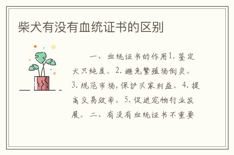 柴犬有没有血统证书的区别