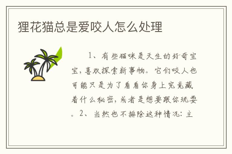狸花猫总是爱咬人怎么处理