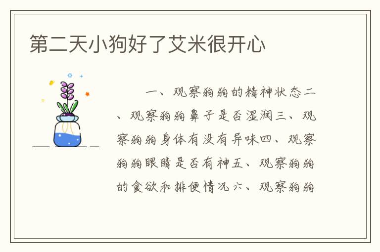 第二天小狗好了艾米很开心