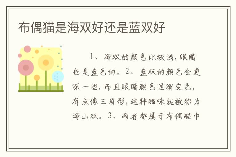 布偶猫是海双好还是蓝双好