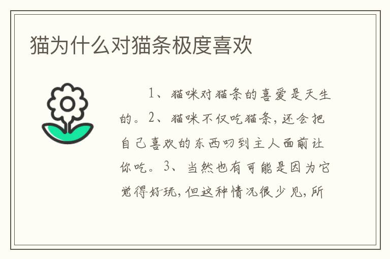 猫为什么对猫条极度喜欢