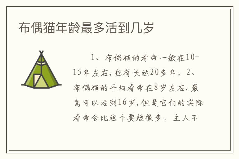 布偶猫年龄最多活到几岁