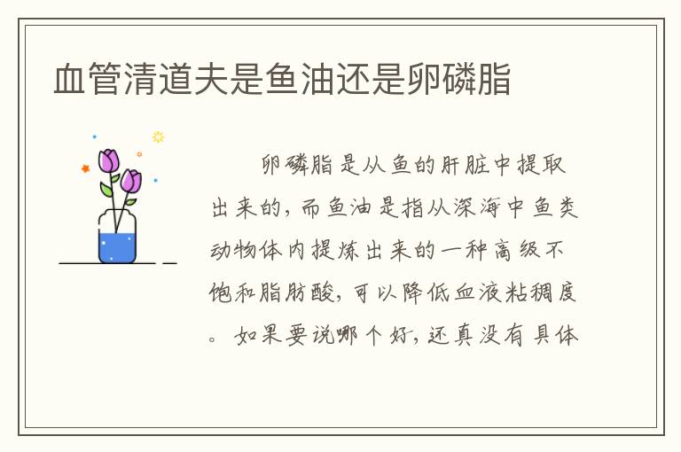 血管清道夫是鱼油还是卵磷脂