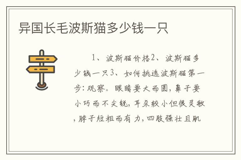 异国长毛波斯猫多少钱一只
