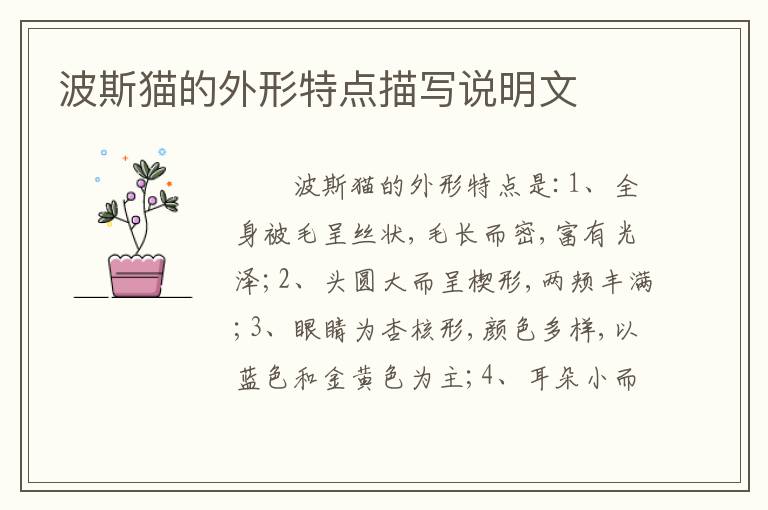 波斯猫的外形特点描写说明文